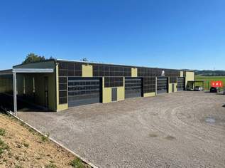 Moderne Lager - bzw Produktionshalle in Neusserling im Mühlviertel, 1800000 €, Immobilien-Gewerbeobjekte in 4175 Neußerling