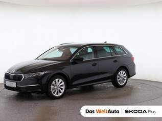 Octavia Selection TDI DSG, 36980 €, Auto & Fahrrad-Autos in 8792 St. Peter-Freienstein Octavia Selection TDI DSG, 36980 €, Auto & Fahrrad-Autos in 8792 St. Peter-Freienstein