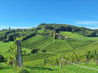 "Above it All" – Luxus-Apartment am Hochgrassnitzberg mit Aussicht und Anlagefaktor, 309000 €, Immobilien-Wohnungen in 8472 Gersdorf an der Mur