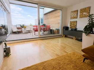 Terrassenwohnung/Donaupromenade -Seltene Gelegenheit für Anspruchsvolle Käufer!, 795000 €, Immobilien-Wohnungen in Oberösterreich