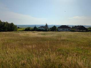 10 EBENE BAUPARZELLEN IN DER NÄHE VON HORN UND MAISSAU, 230000 €, Immobilien-Grund und Boden in 3580 Gemeinde Horn