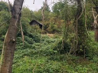 Grund mit Hütte für Ruhe und SEELE, 79000 €, Immobilien-Grund und Boden in 3433 Gemeinde Königstetten