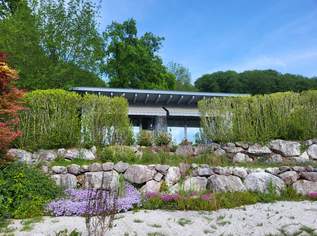 Single- oder Pärchenbungalow am Waldrand, 420000 €, Immobilien-Häuser in 5166 Perwang am Grabensee Single- oder Pärchenbungalow am Waldrand, 420000 €, Immobilien-Häuser in 5166 Perwang am Grabensee