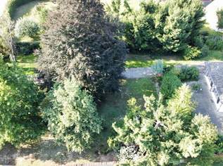 Großes Grundstück, teilbar: Ihre Chance auf 2.282 m² Ihren Wohntraum zu verwirklichen!, 499000 €, Immobilien-Grund und Boden in 8141 Oberpremstätten Großes Grundstück, teilbar: Ihre Chance auf 2.282 m² Ihren Wohntraum zu verwirklichen!, 499000 €, Immobilien-Grund und Boden in 8141 Oberpremstätten