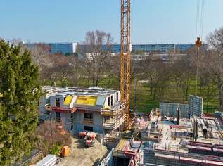 Neues Projekt in der Schwarzelackenau beim Marchfeldkanal - noch 17 Einheiten verfügbar!, 0 €, Immobilien-Wohnungen in 1210 Floridsdorf Neues Projekt in der Schwarzelackenau beim Marchfeldkanal - noch 17 Einheiten verfügbar!, 0 €, Immobilien-Wohnungen in 1210 Floridsdorf