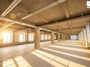 LOFT-BÜRO im "FABIANI-HAUS", 6212.44 €, Immobilien-Gewerbeobjekte in 1030 Landstraße LOFT-BÜRO im "FABIANI-HAUS", 6212.44 €, Immobilien-Gewerbeobjekte in 1030 Landstraße