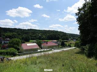 Grundstück (kein Bauzwang) mit schönem Ausblick, 49000 €, Immobilien-Grund und Boden in 7533 Ollersdorf im Burgenland