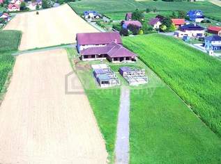 Platz zur Entfaltung! Ca. 818m² Anwesen mit Potential, 370000 €, Immobilien-Häuser in 8342 Gnas Platz zur Entfaltung! Ca. 818m² Anwesen mit Potential, 370000 €, Immobilien-Häuser in 8342 Gnas
