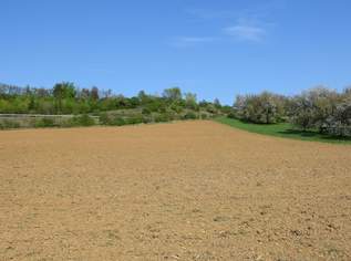 Industriegebiet - Grundstück in Oberwart – Große Wertsteigerung möglich! (Provisionsfrei), 297000 €, Immobilien-Grund und Boden in 7400 Oberwart Industriegebiet - Grundstück in Oberwart – Große Wertsteigerung möglich! (Provisionsfrei), 297000 €, Immobilien-Grund und Boden in 7400 Oberwart
