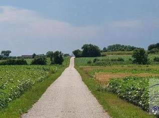 Kleines, leistbares landwirtschaftliches GrundstÃŒck in Alkoven zu verkaufen!, 0 €, Immobilien-Grund und Boden in 4072 Alkoven