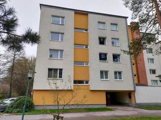 "Achtung Wanderer – die Wiener Hütte lässt grüßen!", 139000 €, Immobilien-Wohnungen in 2384 Breitenfurt