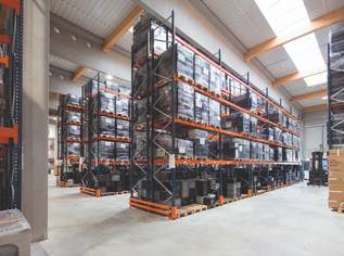Multifunktionelle Lagerhalle (430 m²) in verkehrsgünstiger Lage, provisionsfrei - WALTER BUSINESS-PARK, 3655 €, Immobilien-Gewerbeobjekte in 2351 Gemeinde Wiener Neudorf