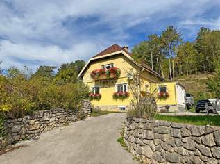 Attraktive Gelegenheit für Sanierungsprofis! Werden Sie stolzer Besitzer eines Landhauses im Triestingtal plus großem Grundstück € 265.000,– FIX, 265000 €, Immobilien-Häuser in 2571 Thenneberg