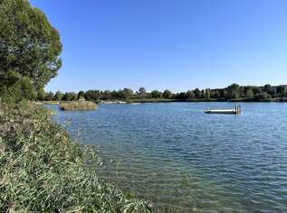 "Badetuch mitbringen!", 329000 €, Immobilien-Wohnungen in 2331 Vösendorf