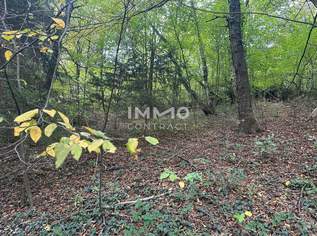 Leben mitten in der Natur! Baugrundstück im Wienerwald! Perfekt für Familien geeignet!, 530000 €, Immobilien-Grund und Boden in 3021 Pressbaum