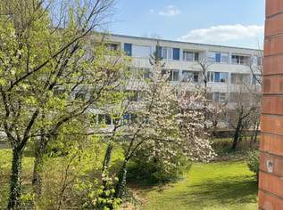 Generalsanierte Wohnung in Top Zustand mit großem Kellerraum, 339000 €, Immobilien-Wohnungen in 2344 Gemeinde Maria Enzersdorf