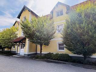 Eigentumswohnung im Dachgeschoß zu mieten - Balkon, Grünblick & Schwimmteich in ruhiger Lage Eigentumswohnung im Dachgeschoß zu mieten - Balkon, Grünblick & Schwimmteich in ruhiger Lage