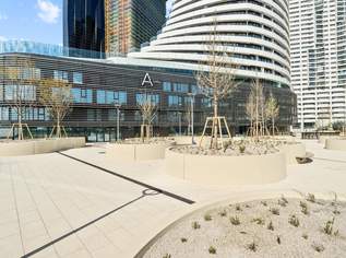 "Vollmöbliert Danube Flat", 2300 €, Immobilien-Wohnungen in 1220 Donaustadt