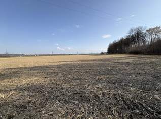 Ebenerdiges Ackerland nahe Ortszentrum Burgkirchen, 522075 €, Immobilien-Grund und Boden in 5274 Burgkirchen