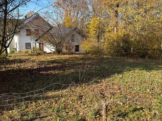 Attraktives Baugrundstück ohne Bauzwang in Brunnenthal, 145500 €, Immobilien-Grund und Boden in 4786 Brunnenthal Attraktives Baugrundstück ohne Bauzwang in Brunnenthal, 145500 €, Immobilien-Grund und Boden in 4786 Brunnenthal