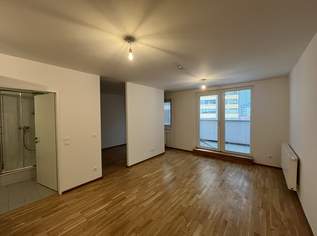 DG Wohnung mit Terrasse, 766.52 €, Immobilien-Wohnungen in 1110 Simmering