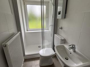 Modernisiert - hochwertig - durchdacht: diese 2,5-Zimmer Wohnung in hervorragender Lage überzeugt mit stilvoller Sanierung, ebenerdiger Dusche, hochwertigen Böden und viel Stauraum im großzügigen Kellerabteil - perfekt für Paare oder kleine Familien!, 584.1 €, Immobilien-Wohnungen in 4400 Steyr