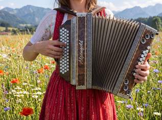 ALPENGOLD Steirische Harmonika - G/C/F/B, 3500 €, Marktplatz-Musik & Musikinstrumente in Deutschland
