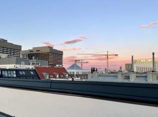 Blick auf AKH, Rathaus und Stephansdom | DG-Wohnung | 1090 [A\\], 1200000 €, Immobilien-Wohnungen in 1090 Alsergrund