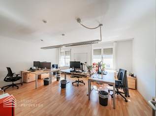 Erstbezug! Geräumiges 5-Zimmer Büro in Toplage, 6416.31 €, Immobilien-Gewerbeobjekte in 1010 Innere Stadt