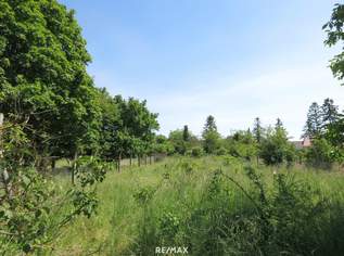 Baugrundstück - 2 Parzellen !, 135000 €, Immobilien-Grund und Boden in 2294 Breitensee