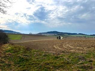 Landwirtschaftlicher Grund/Ackerfläche im Ortsbereich Reiset, 210000 €, Immobilien-Grund und Boden in 4942 Gurten Landwirtschaftlicher Grund/Ackerfläche im Ortsbereich Reiset, 210000 €, Immobilien-Grund und Boden in 4942 Gurten