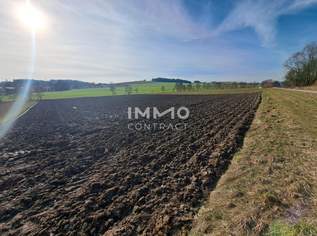Schöne landwirtschaftliche Flächen in Neukirchen bei Lambach im Ausmaß von ca. 16.400 m², 254000 €, Immobilien-Grund und Boden in 4671 Neukirchen bei Lambach Schöne landwirtschaftliche Flächen in Neukirchen bei Lambach im Ausmaß von ca. 16.400 m², 254000 €, Immobilien-Grund und Boden in 4671 Neukirchen bei Lambach
