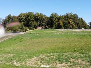Sonniges Grundstück in Grubtal, 150000 €, Immobilien-Grund und Boden in 8462 Gamlitz Sonniges Grundstück in Grubtal, 150000 €, Immobilien-Grund und Boden in 8462 Gamlitz