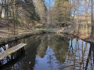 Naturparadies: großzügiges Anwesen in sonniger Ruhelage nahe Paldau!, 399900 €, Immobilien-Grund und Boden in 8342 Baumgarten bei Gnas