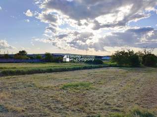 Baugrundstück mit Fernblick in Parndorf: perfekte 1000 m² in Grünruhelage!, 399000 €, Immobilien-Grund und Boden in 7111 Parndorf Baugrundstück mit Fernblick in Parndorf: perfekte 1000 m² in Grünruhelage!, 399000 €, Immobilien-Grund und Boden in 7111 Parndorf