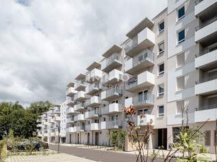 4 Zimmer Neubau, 326000 €, Immobilien-Wohnungen in 3100 Stattersdorf
