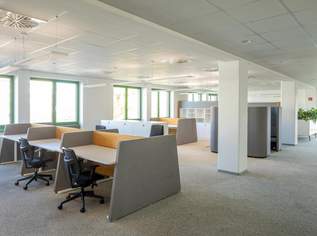 Großraumbüro, 18380.75 €, Immobilien-Gewerbeobjekte in 1220 Donaustadt