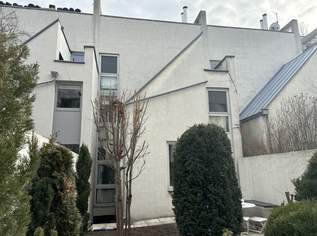 Avantgarde mit Garten, Terrasse, 6 Zimmer plus Keller, 1999.74 €, Immobilien-Wohnungen in 1230 Liesing