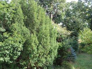 Traumhafte Loggiawohnung in Mauer im Grenzbereich zum 13. Bez. Hietzing, 599000 €, Immobilien-Wohnungen in 1230 Liesing