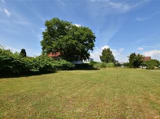 Ebenes und ruhiges Traumgrundstück mit Ganztagssonne, 124800 €, Immobilien-Grund und Boden in 8200 Gleisdorf