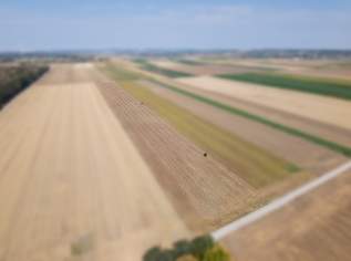 Landwirtschaftliches Grundstück in der KG Großengersdorf - 27952m2, 0 €, Immobilien-Gewerbeobjekte in 2212 Großengersdorf Landwirtschaftliches Grundstück in der KG Großengersdorf - 27952m2, 0 €, Immobilien-Gewerbeobjekte in 2212 Großengersdorf