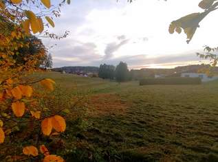 Viel Platz für Ihren Wohntraum in Pischelsdorf am Kulm (Provisionsfrei), 128000 €, Immobilien-Grund und Boden in 8212 Pischelsdorf
