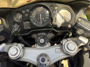 Honda CBR 1100xy SC 35 