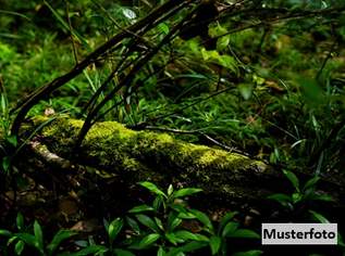 +++ Waldfläche +++, 1930 €, Immobilien-Grund und Boden in 7562 Zahling +++ Waldfläche +++, 1930 €, Immobilien-Grund und Boden in 7562 Zahling