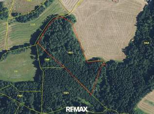 Mischwaldfläche in St. Ruprecht an der Raab, 36000 €, Immobilien-Gewerbeobjekte in 8181 Sankt Ruprecht an der Raab Mischwaldfläche in St. Ruprecht an der Raab, 36000 €, Immobilien-Gewerbeobjekte in 8181 Sankt Ruprecht an der Raab