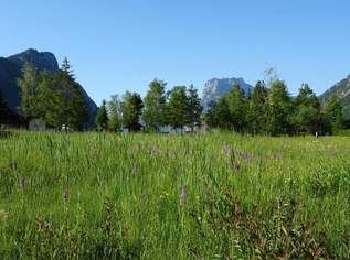 Ebensee: 2 sonnige Grundstücke mit je ca. 610m² - in Seenähe!, 323035 €, Immobilien-Grund und Boden in 4802 Ebensee am Traunsee