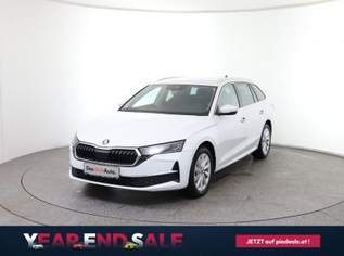 Octavia Selection TDI DSG, 37890 €, Auto & Fahrrad-Autos in 8792 St. Peter-Freienstein