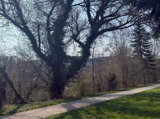 Sanierungsbedürftiges NATURIDYLL in LINZ/Puchenau (BUNGALOW IN U FORM), 450000 €, Immobilien-Häuser in 4048 Puchenau