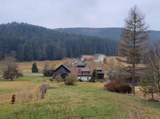 saniertes Bauernhaus mit Wintergarten, Pferde-Stallung und großem Stadel, 379000 €, Immobilien-Häuser in 3633 Lichteck
