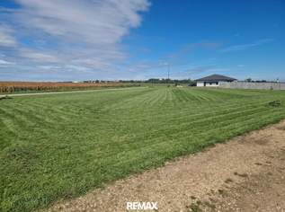 Grundstück am Ortsrand von Nickelsdorf - in ruhiger Lage, mit Weitblick, 119000 €, Immobilien-Grund und Boden in 2425 Nickelsdorf Grundstück am Ortsrand von Nickelsdorf - in ruhiger Lage, mit Weitblick, 119000 €, Immobilien-Grund und Boden in 2425 Nickelsdorf